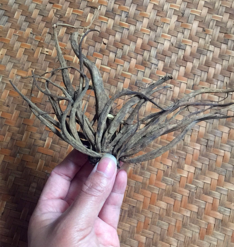 野生新鲜大蓟根虎蓟刺蓟输卵管不通不畅一斤全国其他药食同源食品