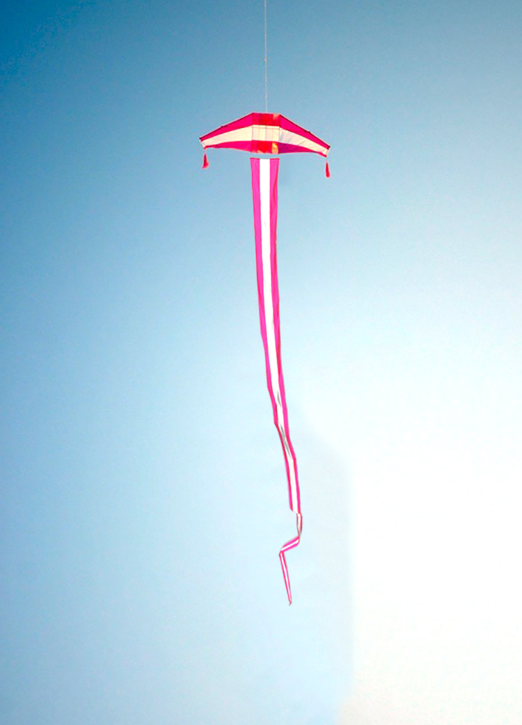 飞悦滑翔机风筝抗大风凯夫拉提线伞布专业大人成人拉力大 - 风筝