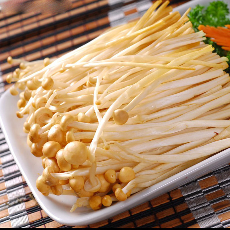 火锅食材新鲜黄色金针菇5斤装食用菌火锅店蔬菜配送新鲜松茸