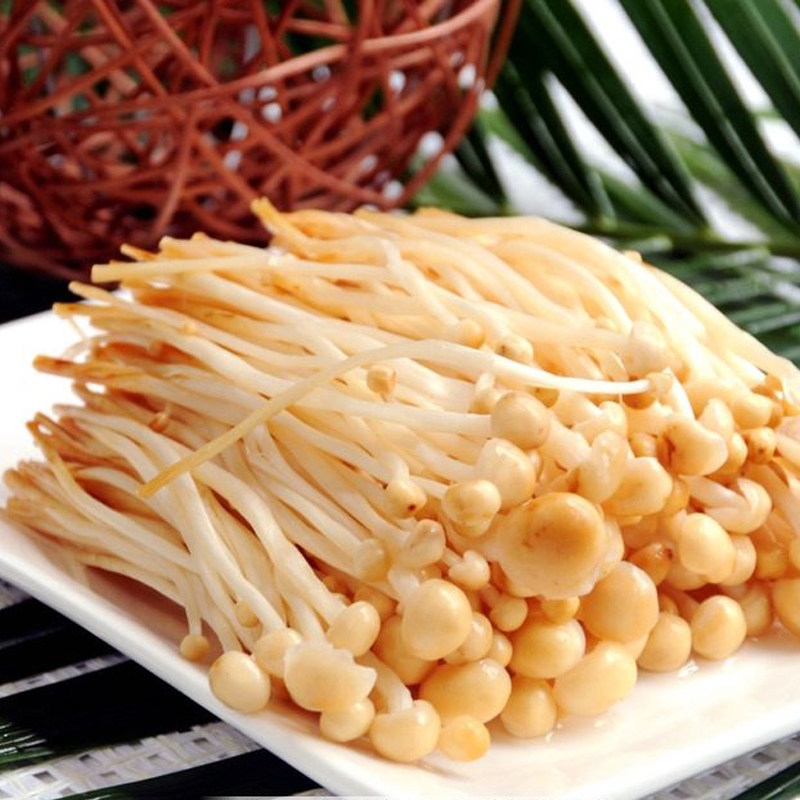 火锅食材新鲜黄色金针菇5斤装食用菌火锅店蔬菜配送新鲜松茸