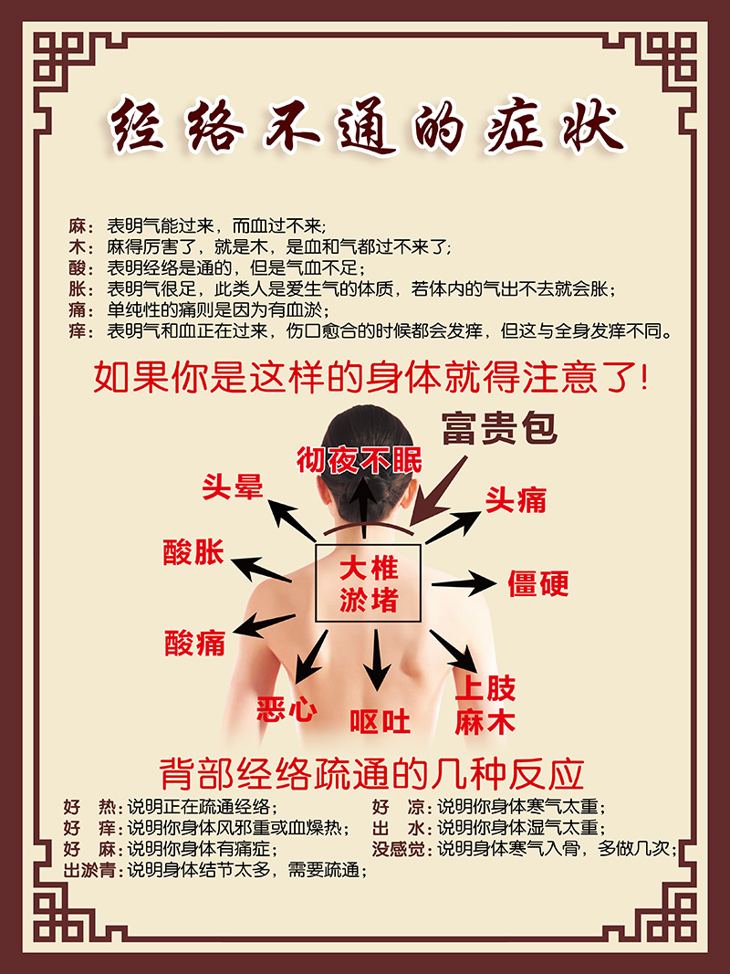 中医挂图背部经络疏通反应不通症状美容院汗蒸房现代装饰画