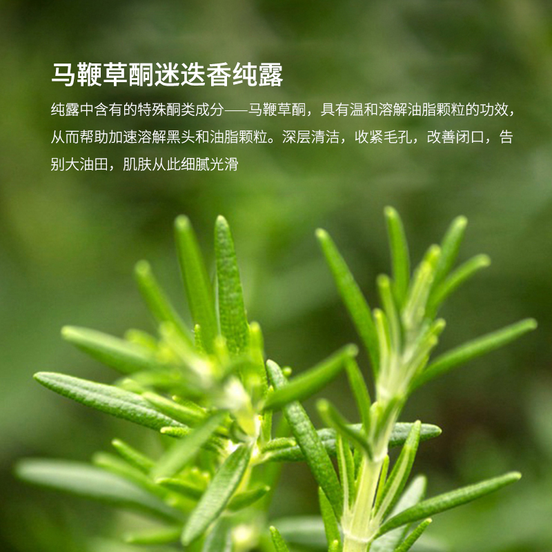 青春宣言马鞭草酮迷迭香纯露闭口粉刺毛孔收缩爽肤水湿敷水喷雾