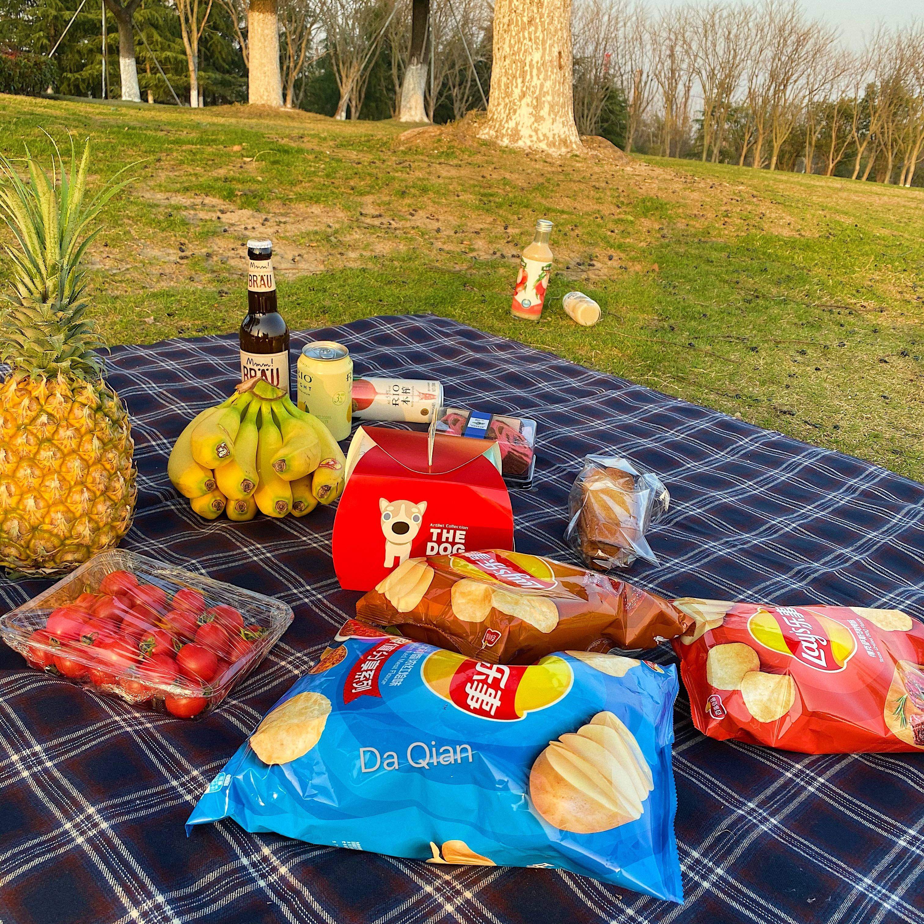 大千印象 韩风ins红色蓝白格子野餐布复古桌布摆拍背景布民宿软饰