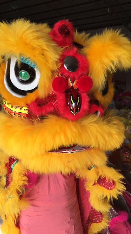 南狮行童狮 单人舞狮子 小狮子 儿童醒狮 舞狮南狮道具 狮被 狮头