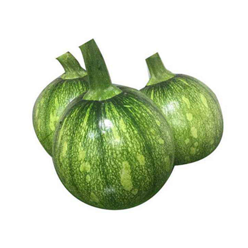 花皮小南瓜种子一串耐寒高产嫩食型早熟生长家庭园艺种子