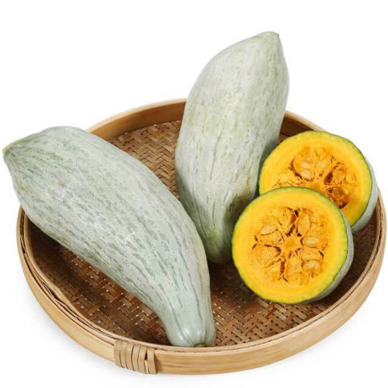 日本金丝栗瓜南瓜种子板栗味粉糯软香甜可口家庭园艺种子