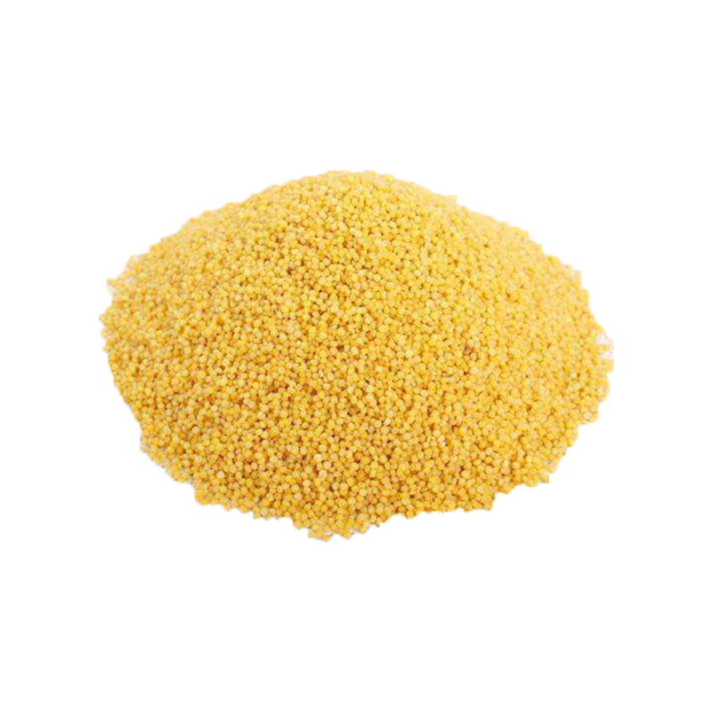 种子黄小米小米抗旱谷种新谷种山西优质春夏季沁州家庭园艺种子