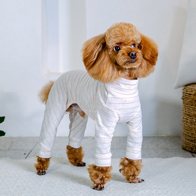 四脚夏天防尘长腿条纹小型狗狗泰迪衣服比熊狗宠物服装