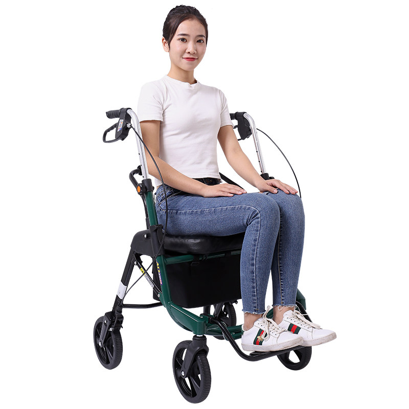 埃立娇老年购物车老人手推买菜车助行代步折叠拐杖便携购物车