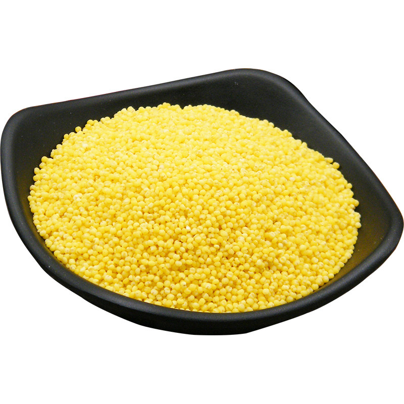 香糯粘稠新米 山西有机粘小米子五谷杂粮米脂黄小米糯粥特产级5斤