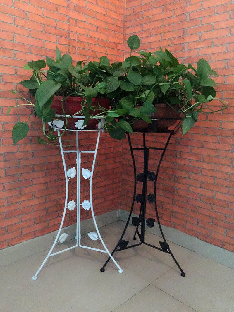 单盘简约铁艺绿植花架子室内阳台落地式客厅绿萝花架