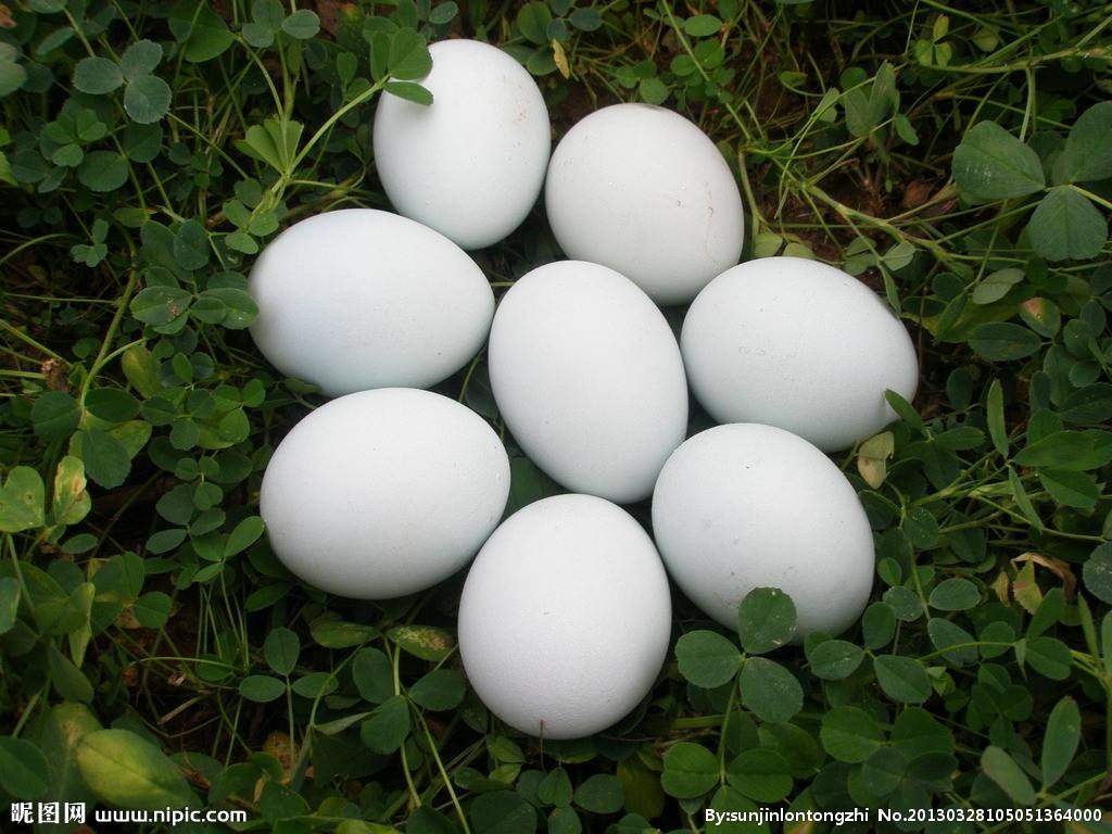 丹东鸭绿江咸鸭蛋黄一卤真空即食原生态营养美味鸭蛋