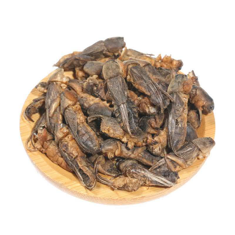 中药材蝼蛄500g另售土狗蝗虫蛐蛐其他药食同源食品