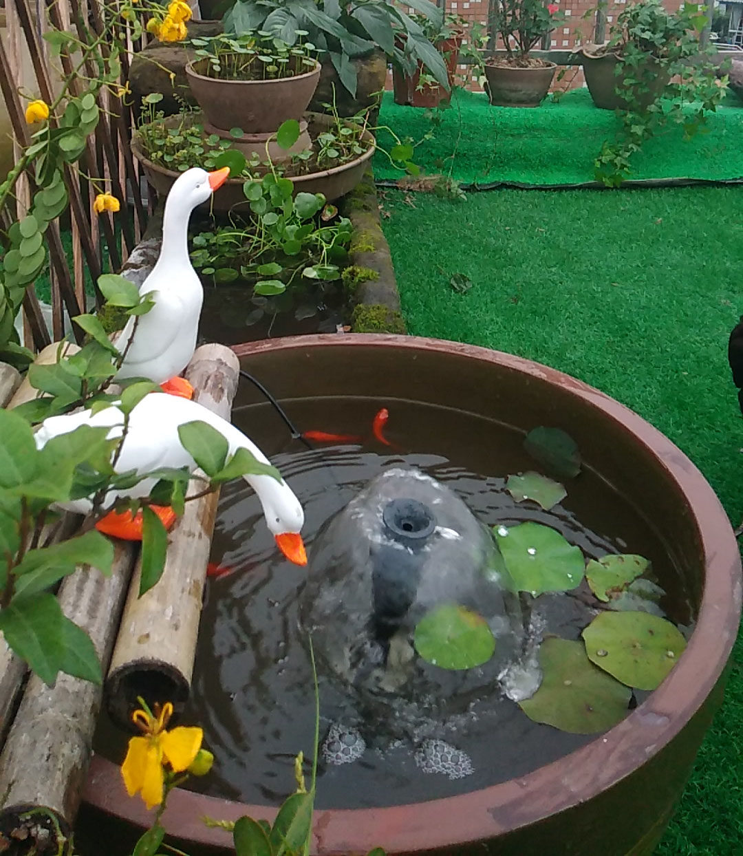 陶瓷室外鱼缸老式水缸睡莲庭院特大鱼缸