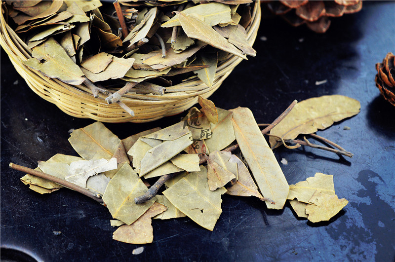 四川特产老鹰茶嫩芽深山野生老阴茶红白茶火锅餐饮用凉茶茶叶500g-mc