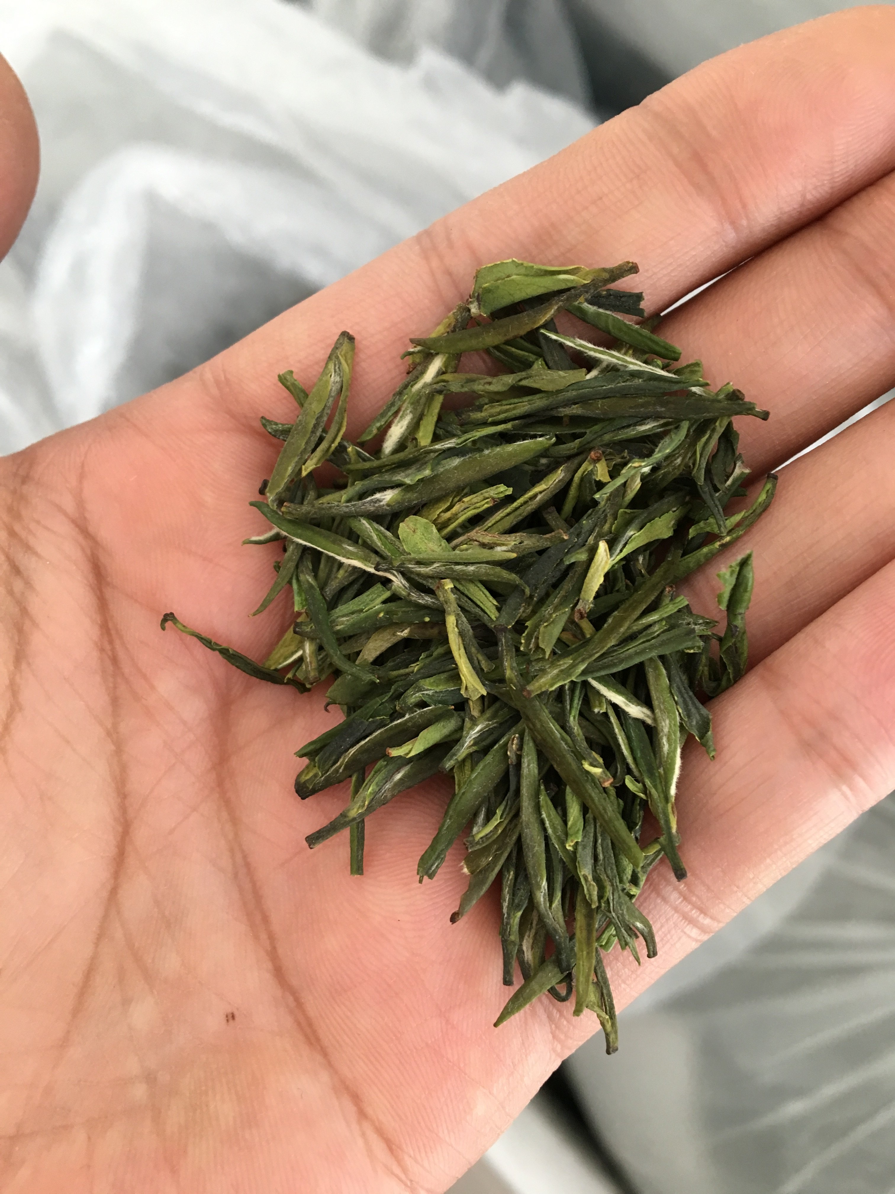 茶叶2022年新茶绿杨春扬州特产仪征绿茶绿扬绿阳其它绿茶