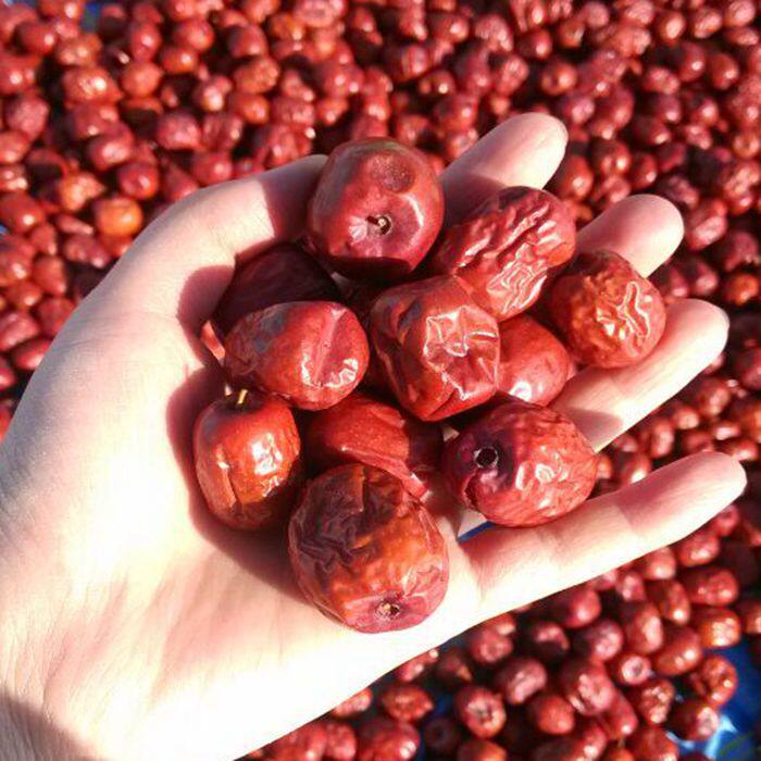 金丝小枣5斤煮粥干吃泡茶临泽小枣新枣甘肃张掖临泽红枣干枣散装