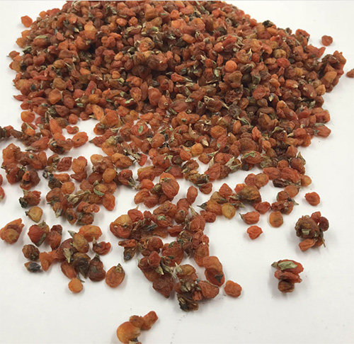 枸杞青海野生黄枸杞柴达木诺木洪金枸杞100克正品其他药食同源食品