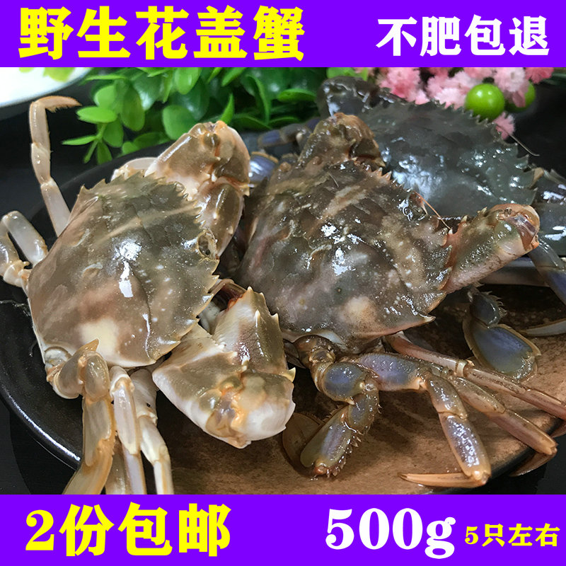 海鲜水产鲜活活石蟹花盖蟹新鲜石头梭子蟹飞梭子蟹