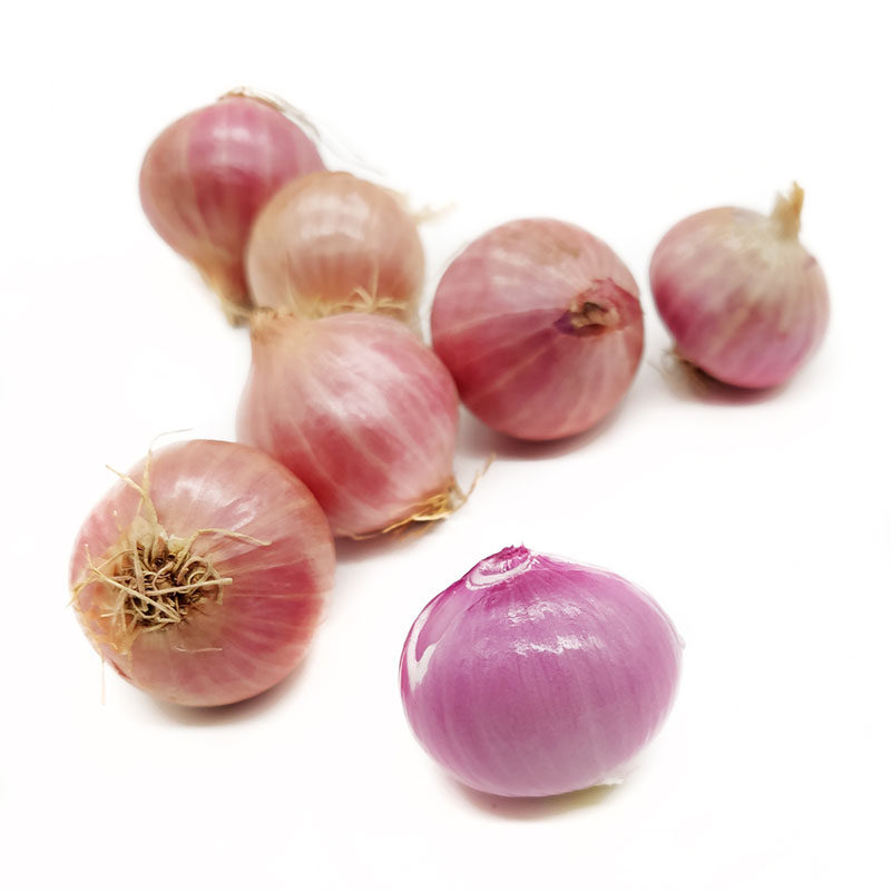 一特特卖新鲜小红红葱头小洋葱葱头珍珠洋葱香料其它