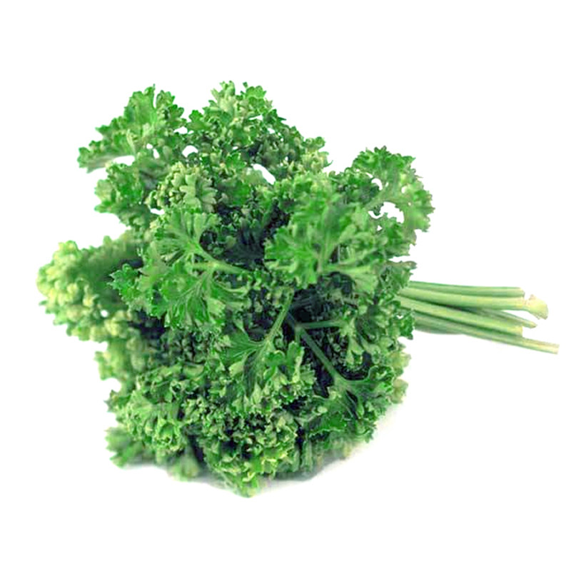 一特特卖新鲜荷兰芹反西蕃茜法香洋芫荽西餐其它