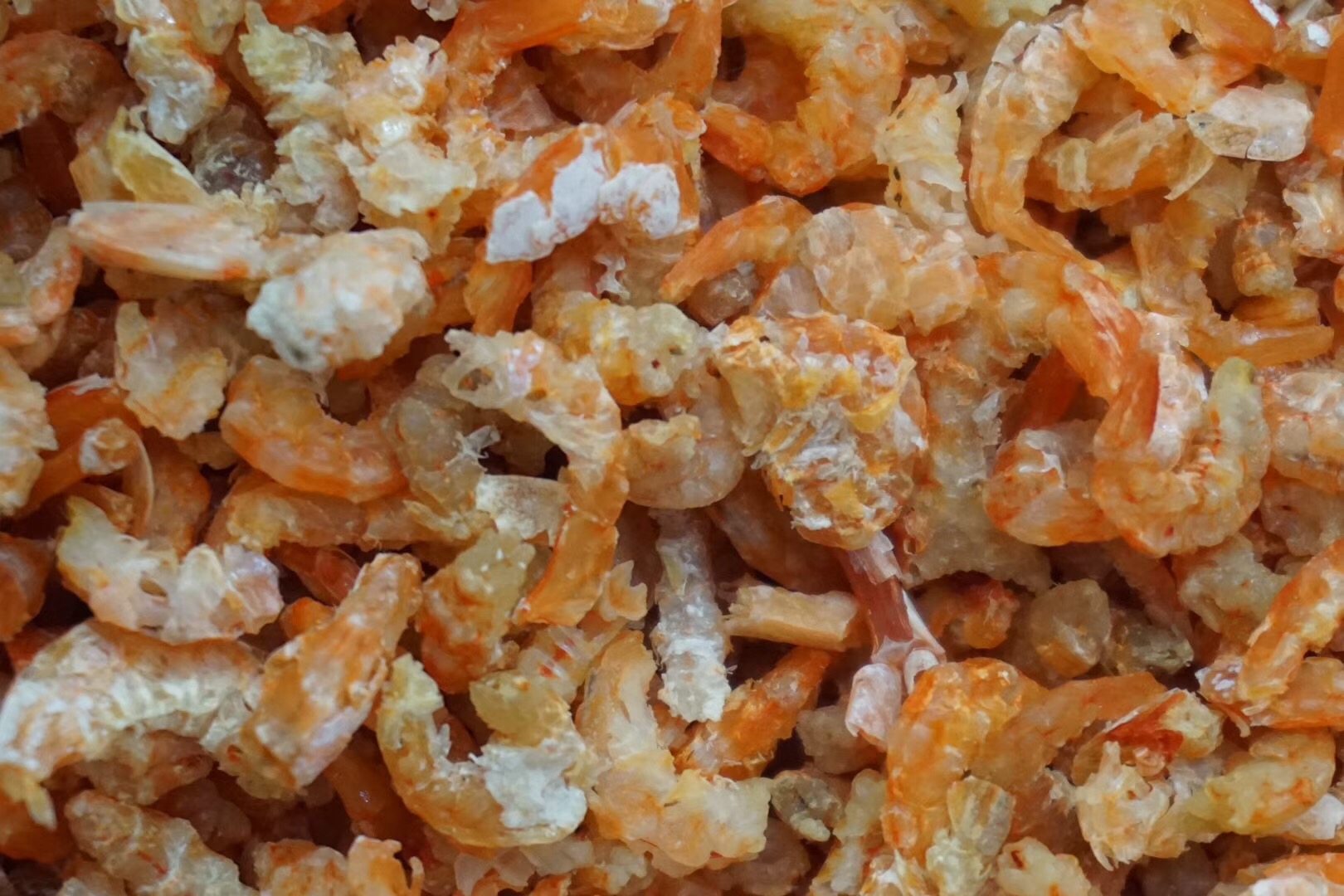 海米汕尾本港淡干500g金钩小虾米干货虾仁虾干虾皮