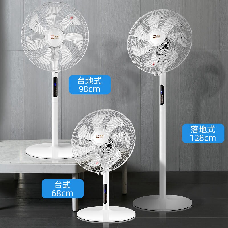 夏天台静音电扇落地扇坐地小型家用风量大风电风扇电风扇
