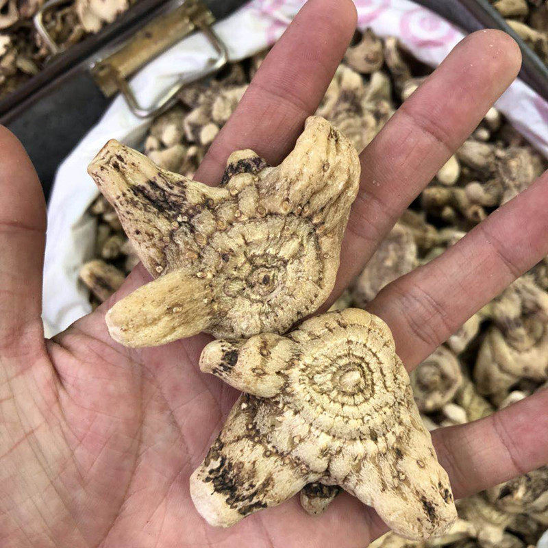 中药材正品白芨100g包邮旱白芨个无硫干燥贵州野生三叉白及可磨粉