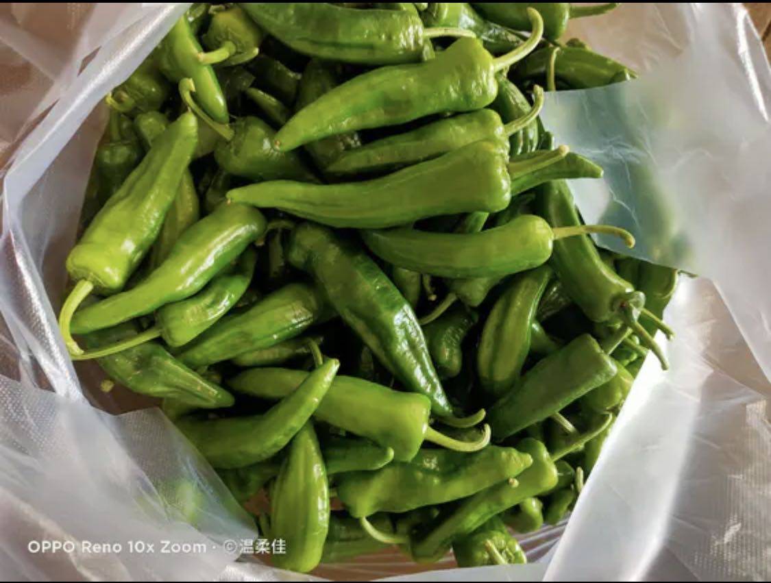 新鲜现摘辣妹子辣椒特辣超辣青椒尖椒净重5斤辣椒