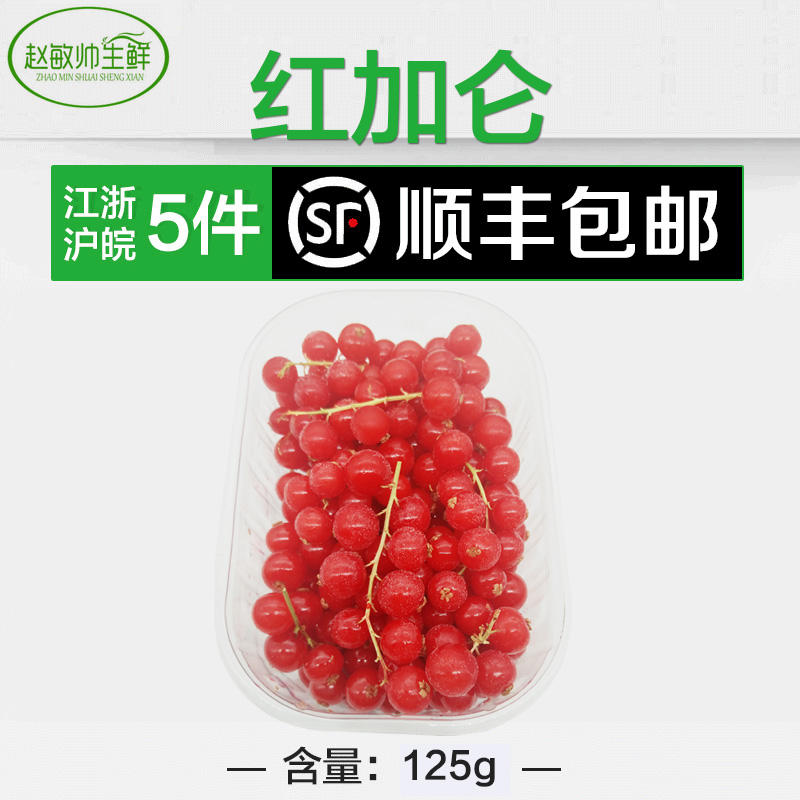 新鲜 红加仑 冷冻带茎 红加仑红醋栗 浆果200g