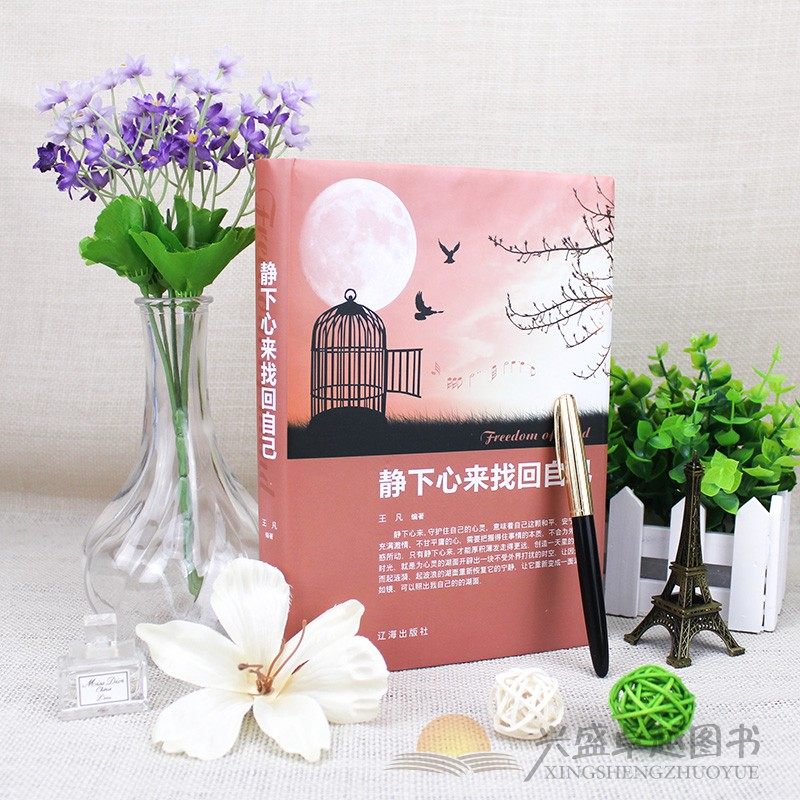 静下心来找回自己 静心的书籍 心灵鸡汤书籍 青春励志心态书籍提高
