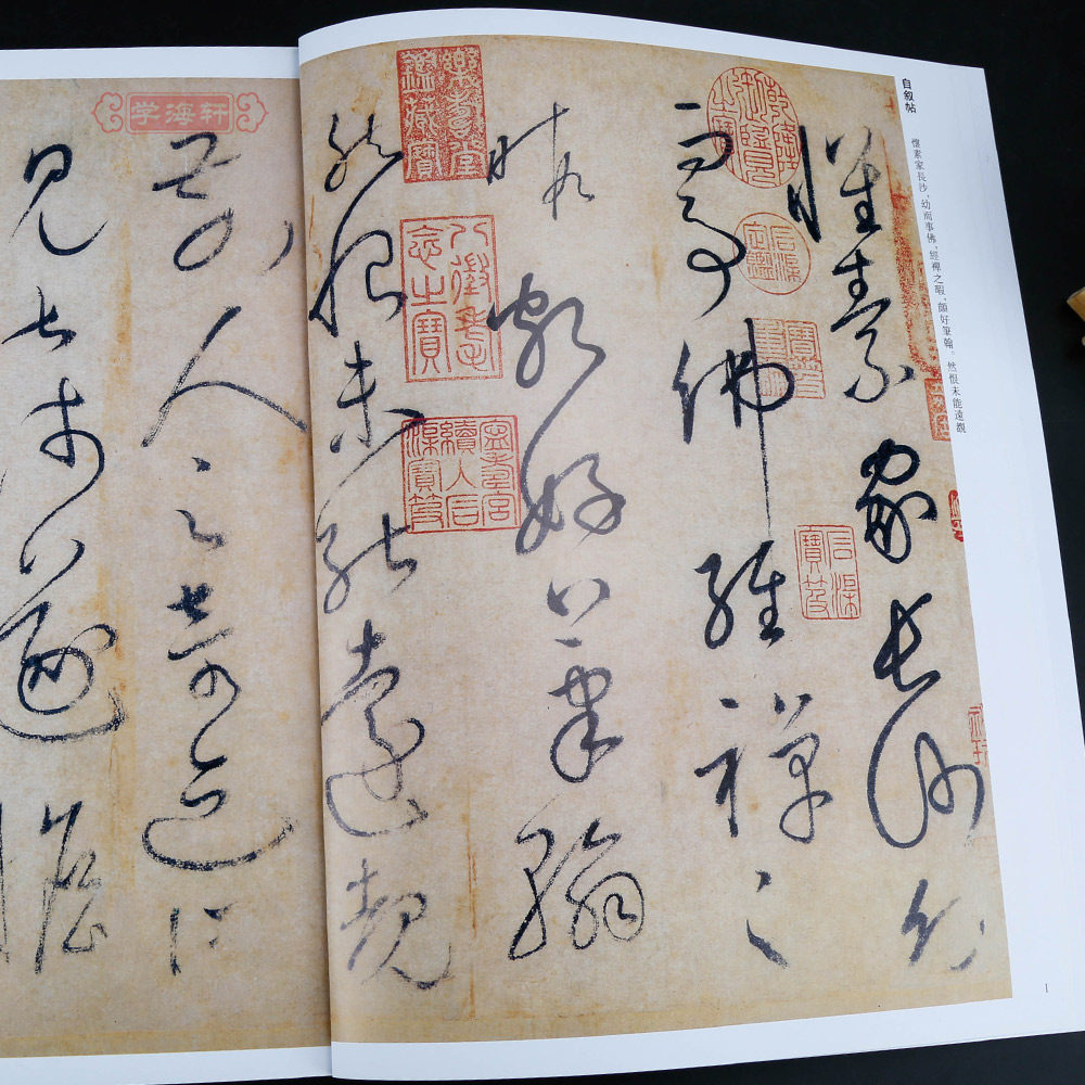 食鱼书籍字帖毛笔字毛笔草书圣母公帖帖律文藏真书法