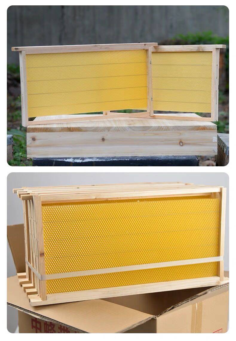 4225巢础带框中蜂巢框成品全杉木蜂具巢脾蜂蜡蜂箱全套养蜂工具