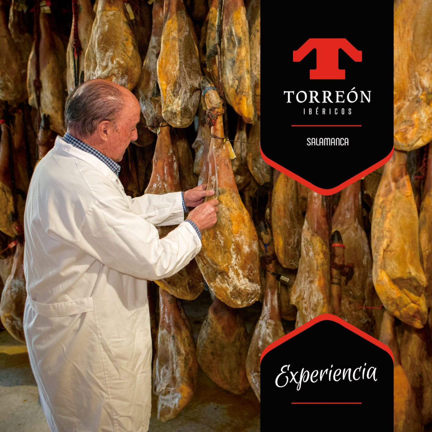 西班牙进口火腿伊比利亚黑猪28个月风干绿标后腿生吃即食火腿片