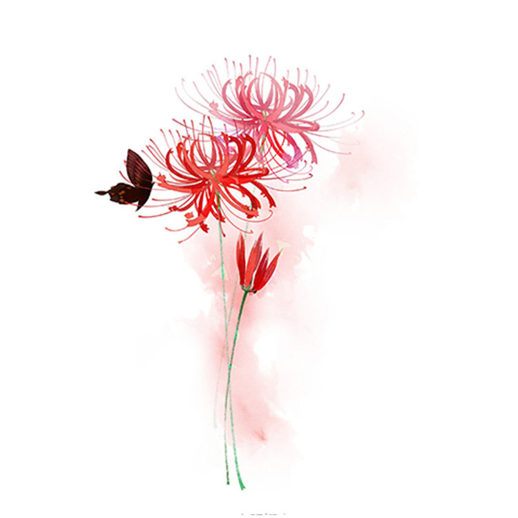 一件包邮苏绣diy刺绣手帕套件初学者适用含工具曼陀罗彼岸花