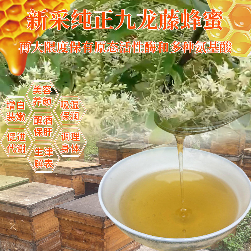 九龙藤纯正天然蜂蜜农家自产荔枝蜜原龙眼蜜野生土蜂蜜正宗百花蜜