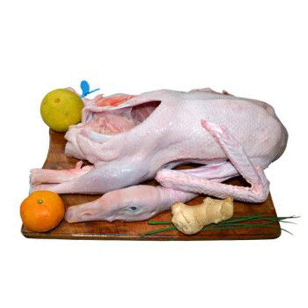 老鹅农家散养白鹅土鹅草鹅现杀顺丰包邮整新鲜鹅肉