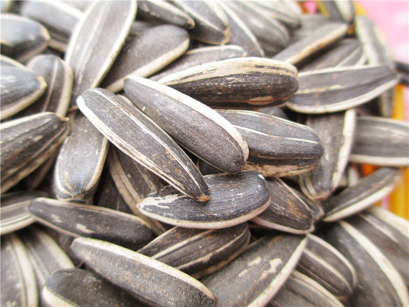 瓜子散装称重葱油200克密封袋装四川特色炒货瓜子