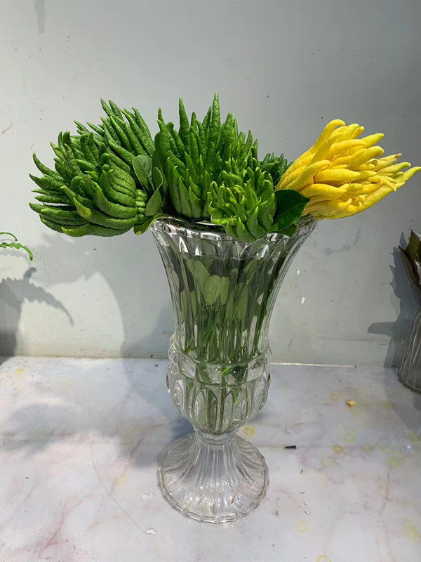 佛手鲜切枝上海直发顺丰快递家用瓶插花艺造型艺术鲜花速递同城