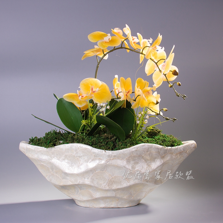 贝壳波浪船形花盆办公室桌面摆件前台插花花瓶花盆