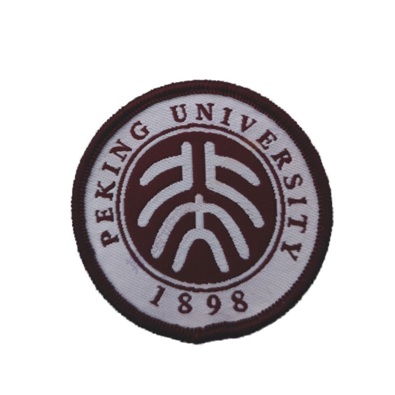 实验校徽园标沈雨田湛江北大培文附属实验学学校校服