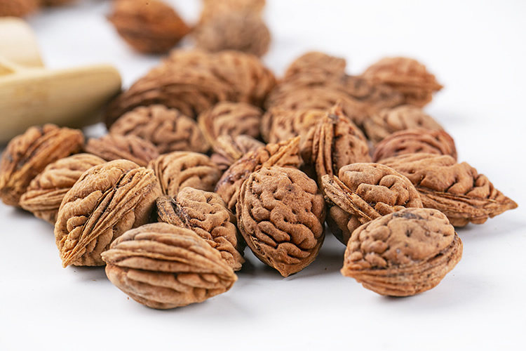 桃核新采毛原籽野生生毛嫁接桃树雕刻用桃育苗佛珠