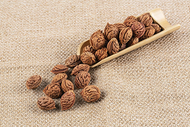 桃核新采毛原籽野生生毛嫁接桃树雕刻用桃育苗佛珠