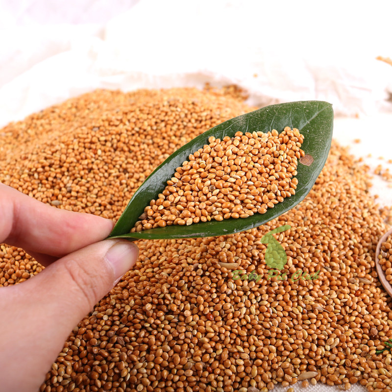 黄黍枕芯枕头饲料鸟粮鸟食零食仓鼠鸽子小米鸟食