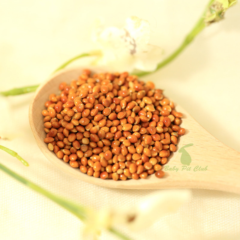 红黍红粟小米鸽子仓鼠零食鸟食鸟粮饲料枕头鸟食