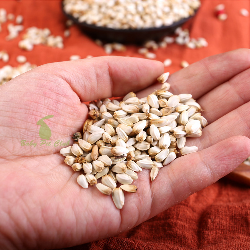 5斤包邮红花子红花花籽白瓜子仓鼠饲料鸟食鸟粮饲料
