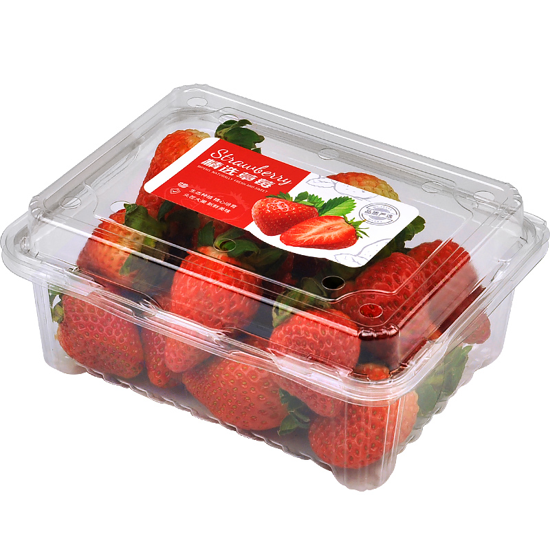 鲜元贴标签一斤装水水果一次性包装盒草莓500克圣女果一次性餐盒