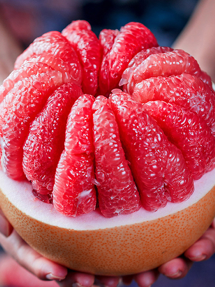 正宗梅州沙田柚梅县柚子纯甜金柚客家特产水果柚子