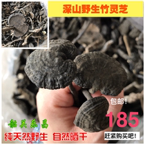 Music Garden Shaoguan Natural Deep Mountain Whole Branches Wild Bamboo Lingzhi Black Lingzhi Guangdong Province One piece