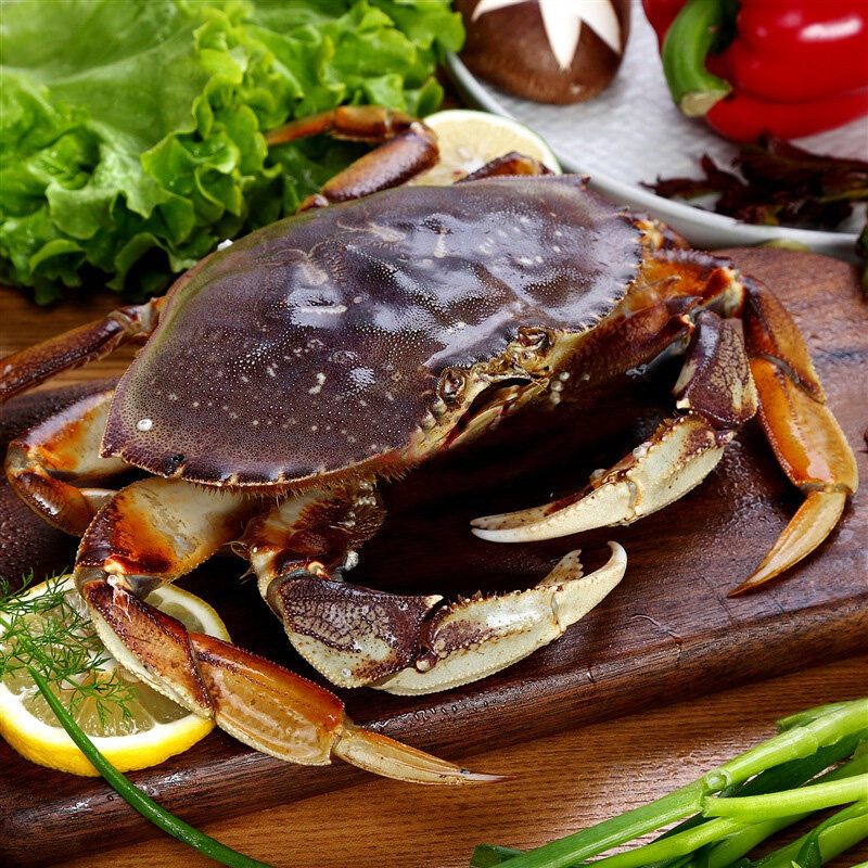 加拿大进口速冻珍宝2只1416斤海鲜水产螃蟹大闸蟹珍宝蟹